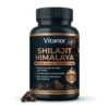 Shilajit 60 gélules